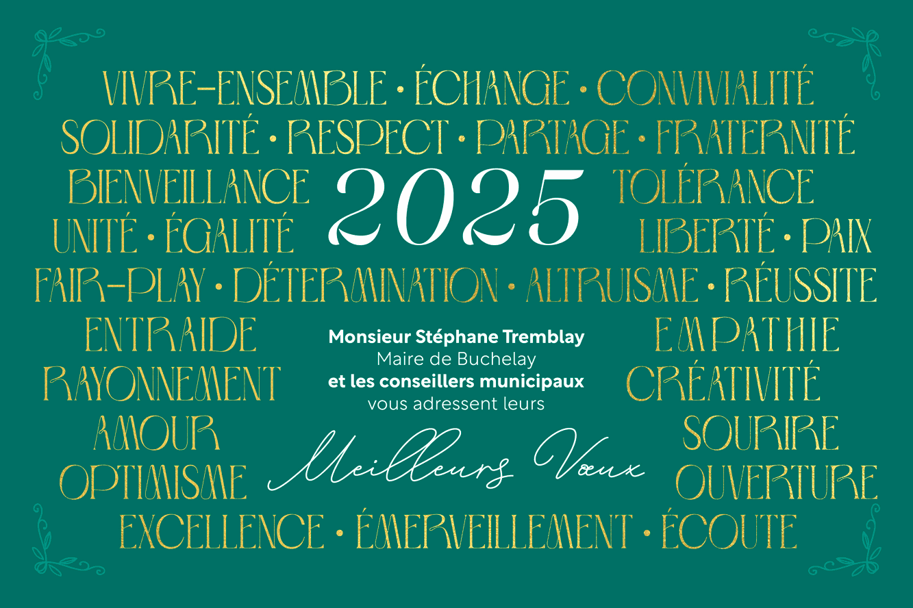 Meilleurs vœux 2025