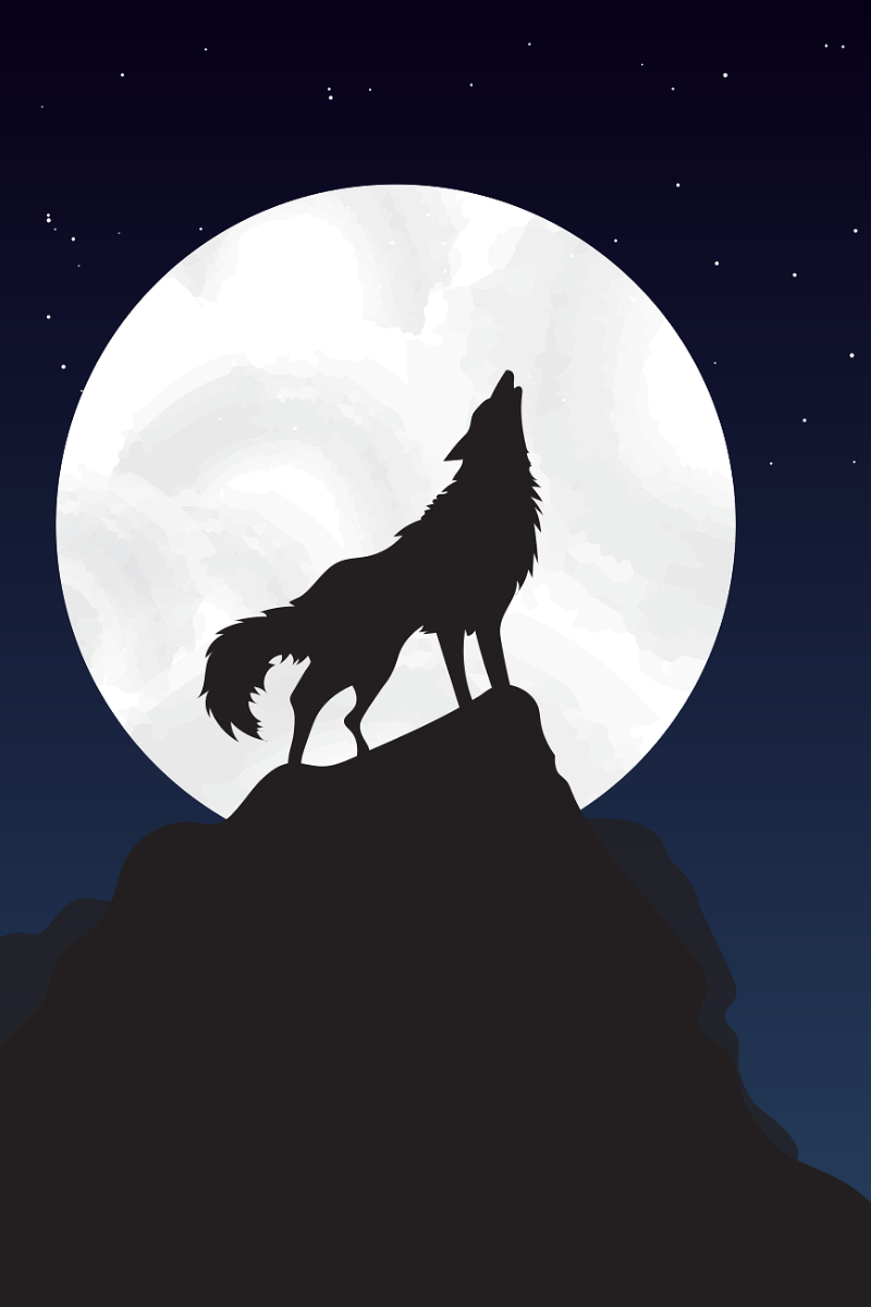 Illustration d'un loup