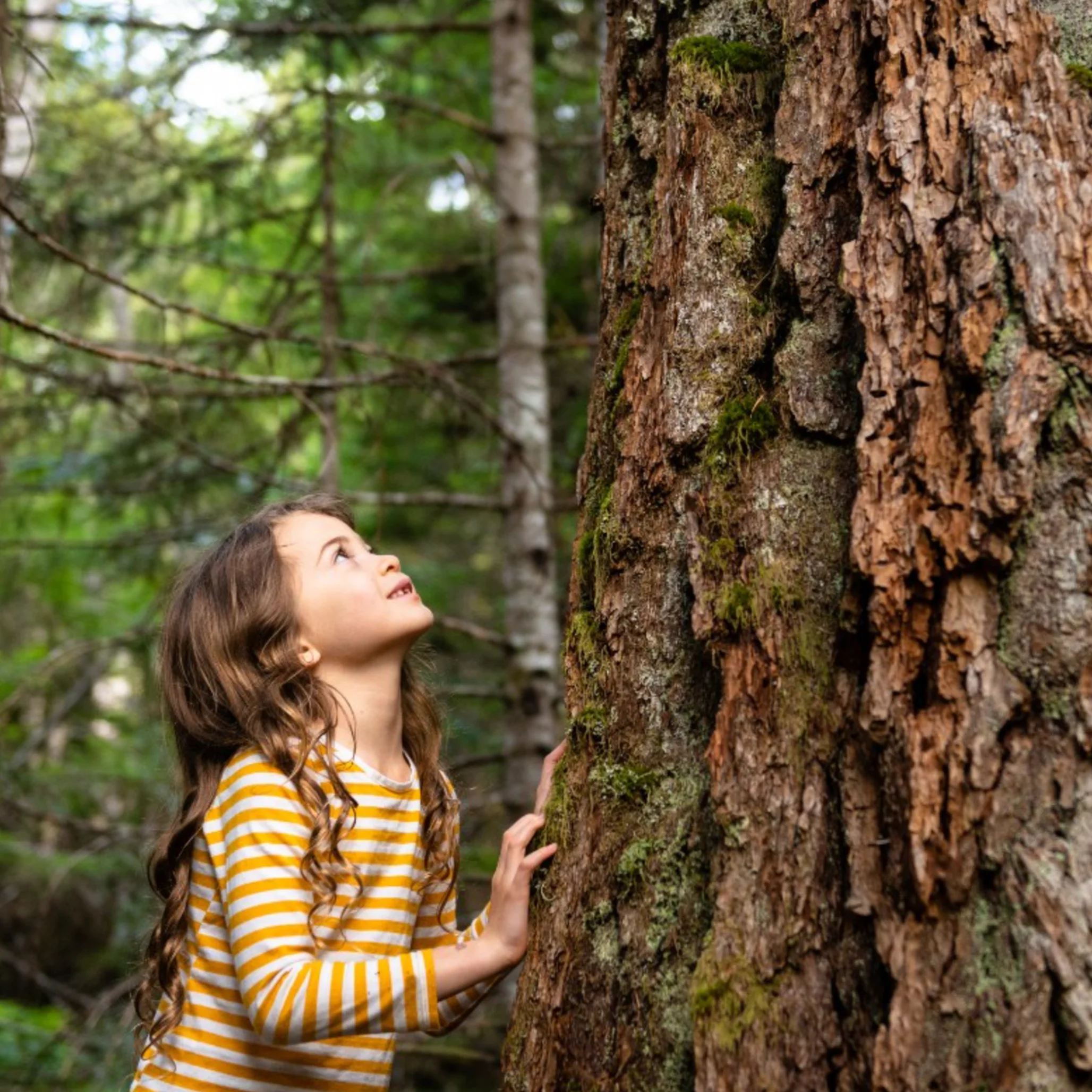 Petite fille dans la nature devant un arbre